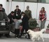 Afuera del terminal aéreo, los sacó de sus jaulas, y peluseó con ellos. Los perritos estaban chochos.