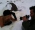 En Animal Nocturno se la jugó por completo. Hizo de todo. Como fotografiar en la nieve a Rocío Marengo.