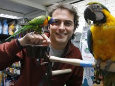 SEBASTIAN JIMENEZ EVANS - LINDORFO - MEDICO VETERINARIO - PRESENTADOR - TELEVISION - PLANO MEDIO - LORO - PAPAGAYO / LA CUARTA - PAGINA 37 - SIN CREDITO - CHILE / PUBLICADA - - -